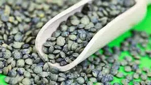 GAEC du rayon du soleil