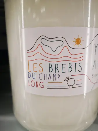 Les brebis du champs long