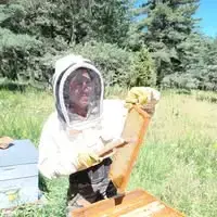 Les ruchers de Sandra