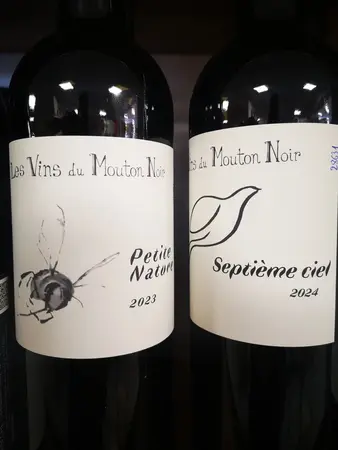 Les vins du mouton noir