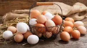 OEUF - La Micro Ferme de Ju