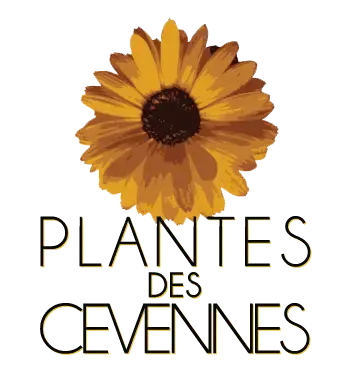 Plantes des Cévennes