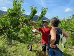 Saussac Patrice et Arlette
